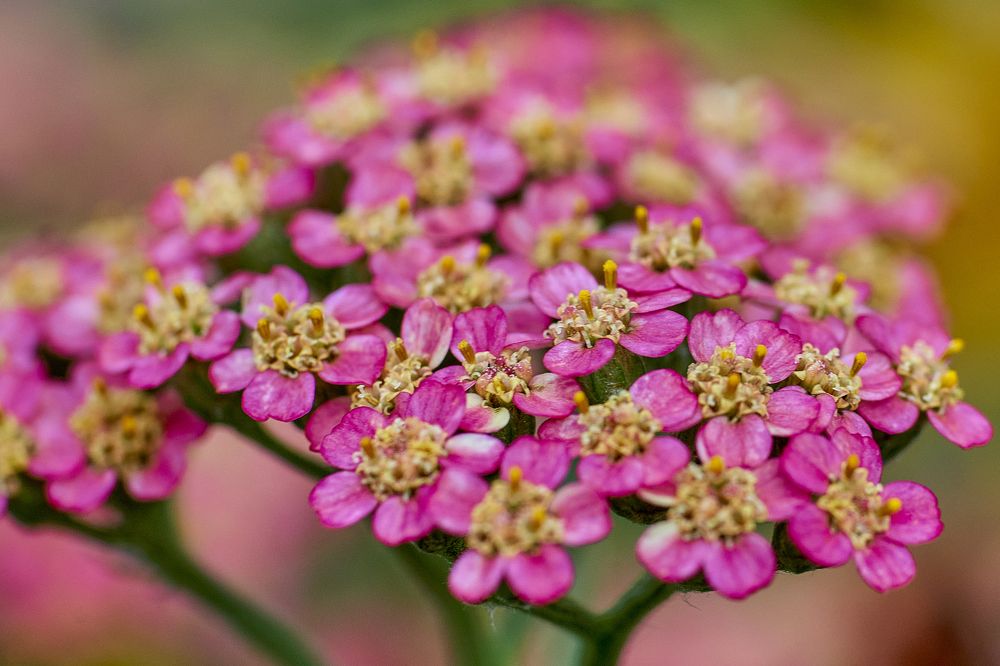 Photograph by Устинов Андрей