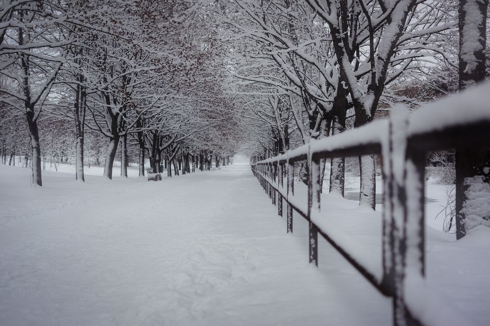 Photograph by Евгений Адуцкевич