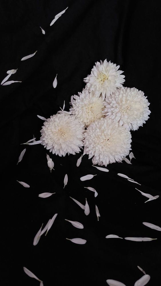 Photograph by Svitlana Usatenko