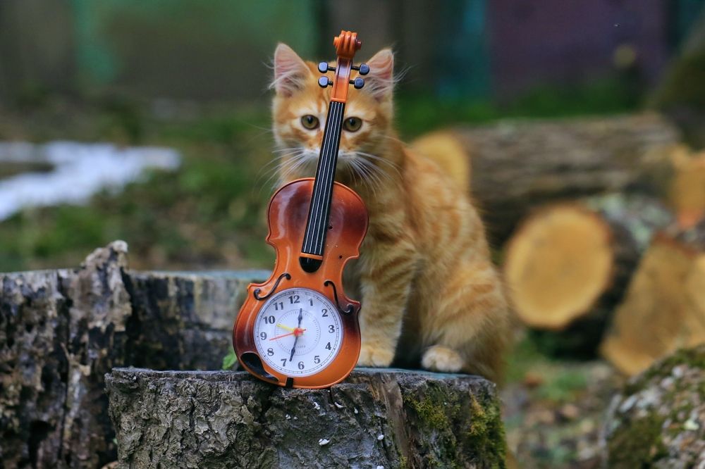 Photograph by Татьяна Исаева