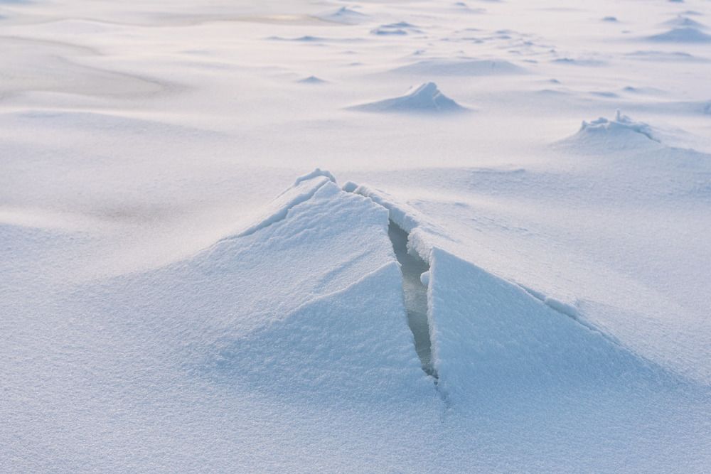 Photograph by Крицак Ольга