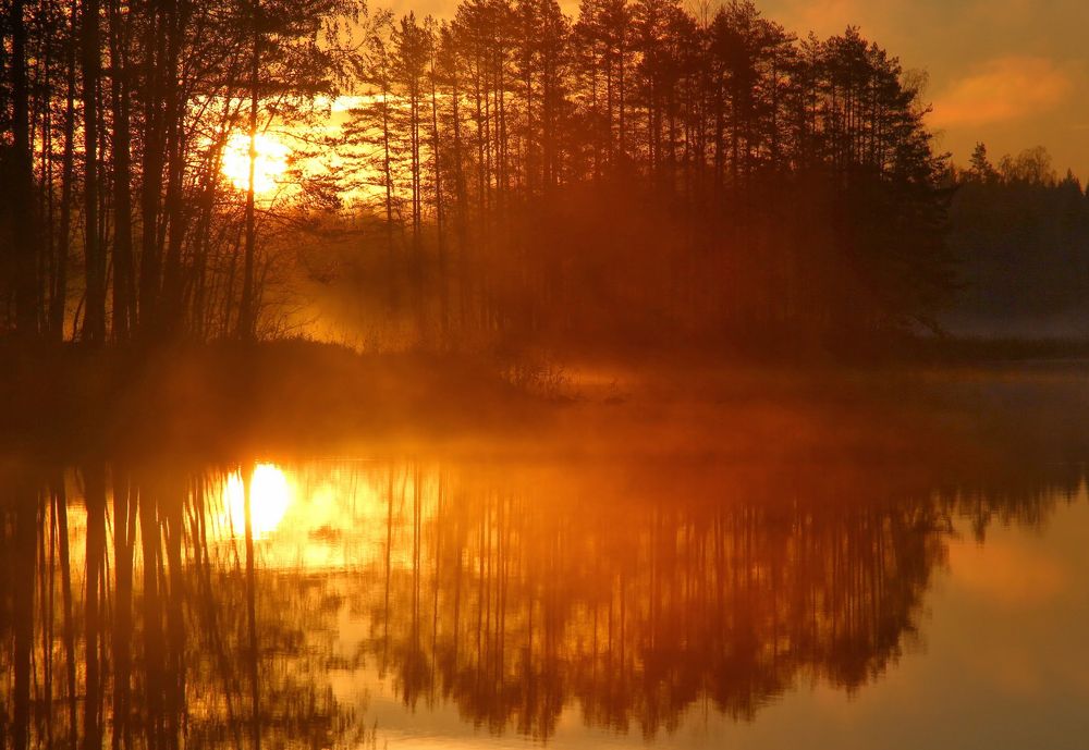 Photograph by Svetlana Dorokhova