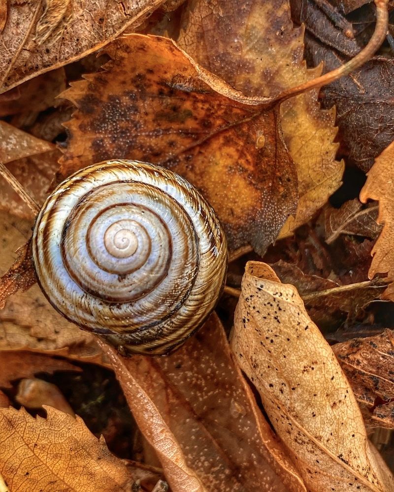 Photograph by Евгения Казакова