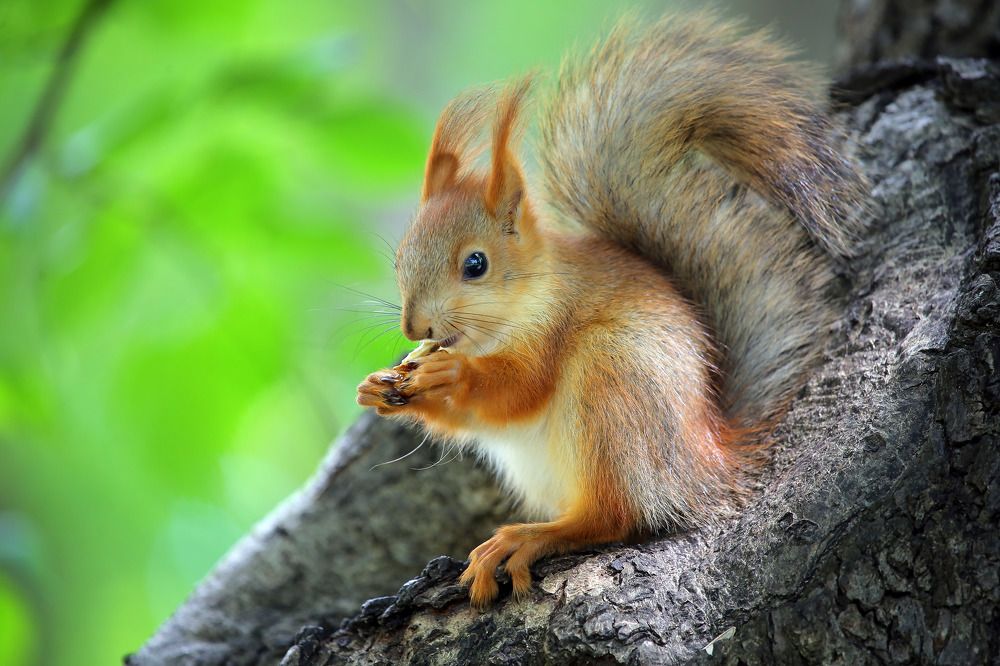 Photograph by Александр Глебов