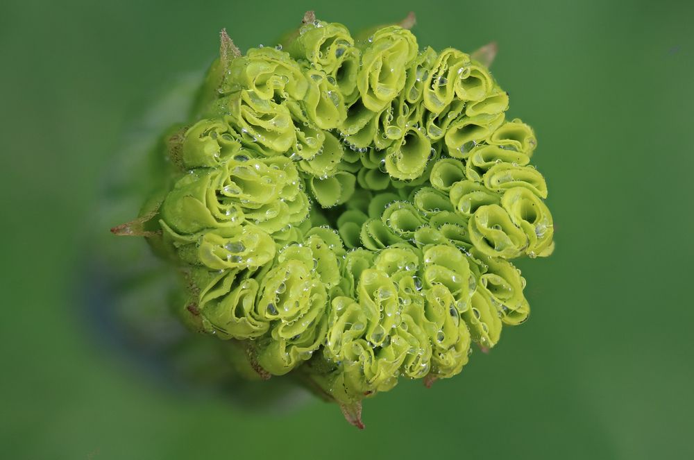 Photograph by Надежда Зайцева