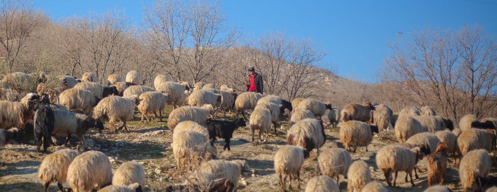 Photograph by Sal Haji