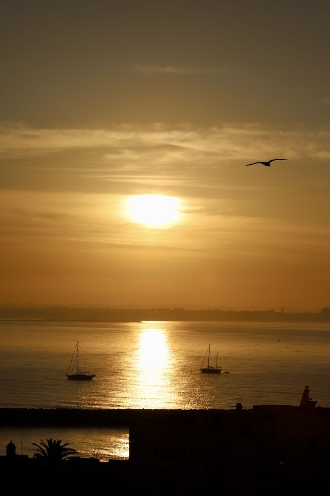 Photograph by Lucas Chagas