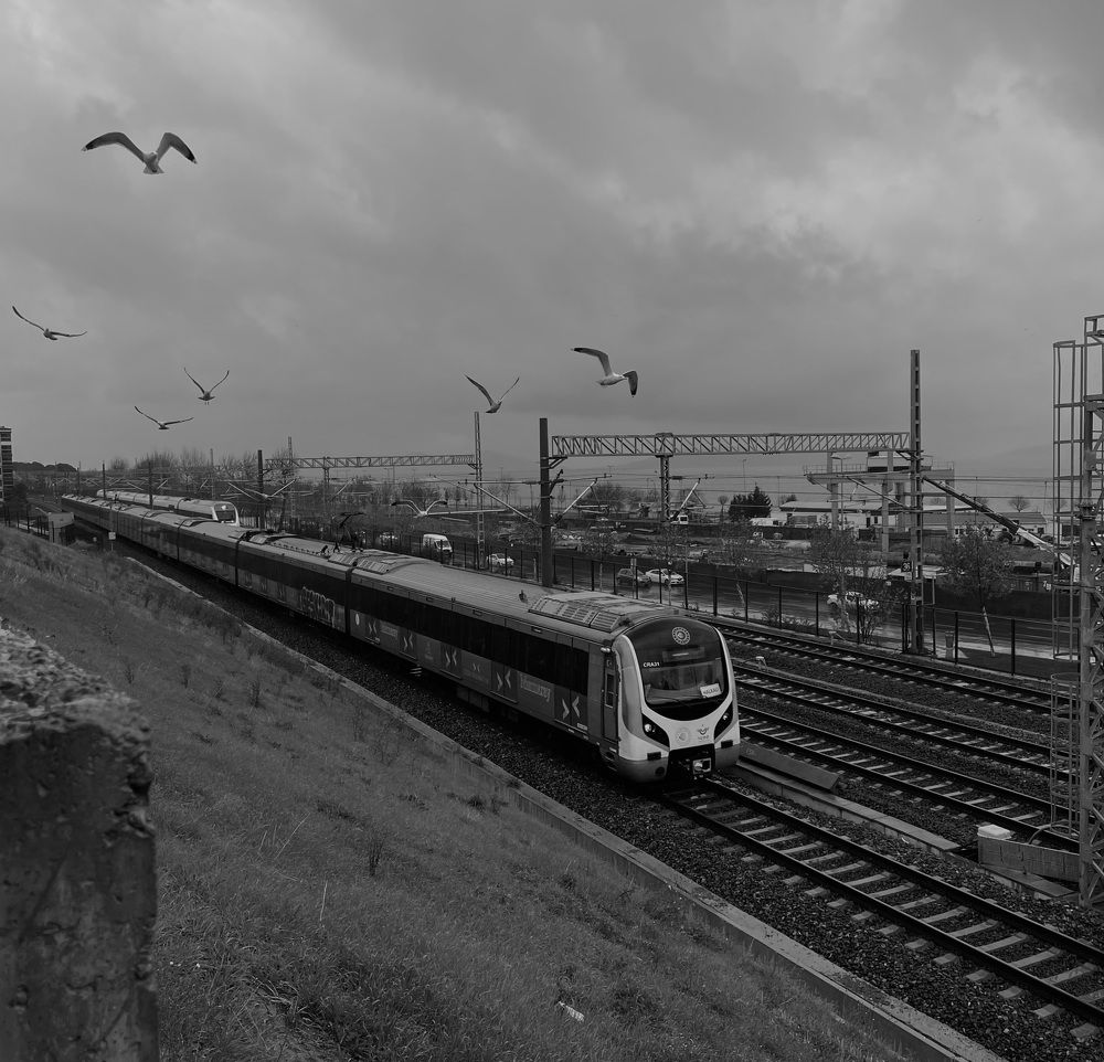 Photograph by Sahar