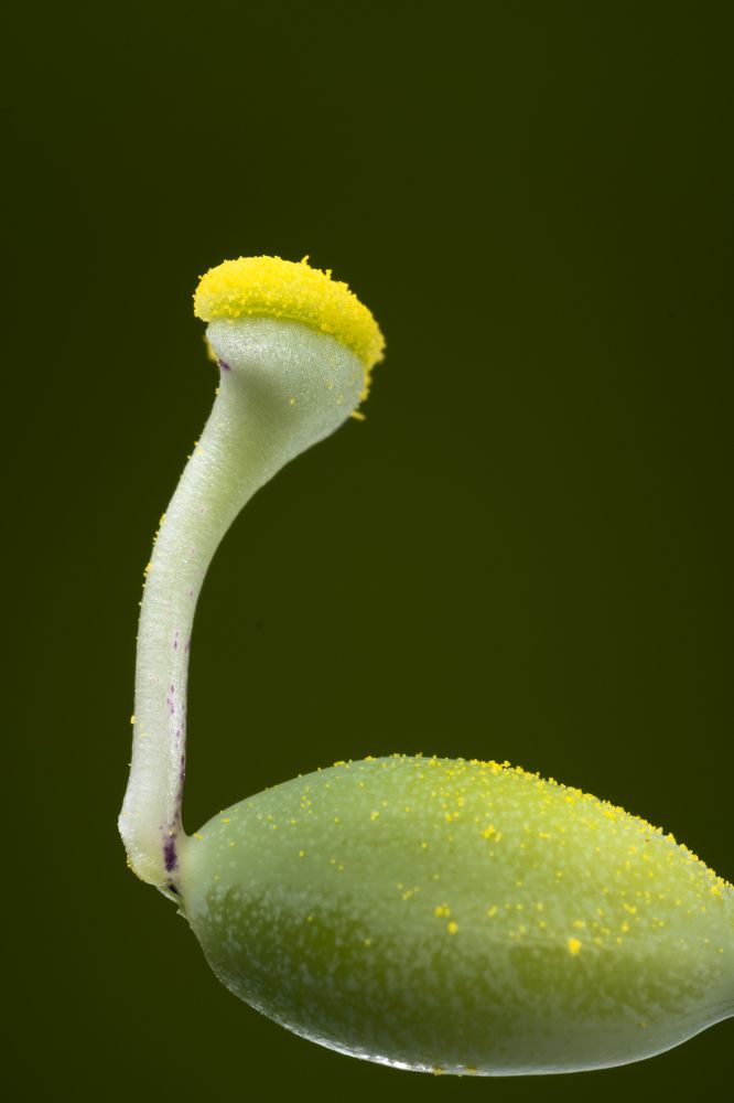 Photograph by Claudia Ruiz