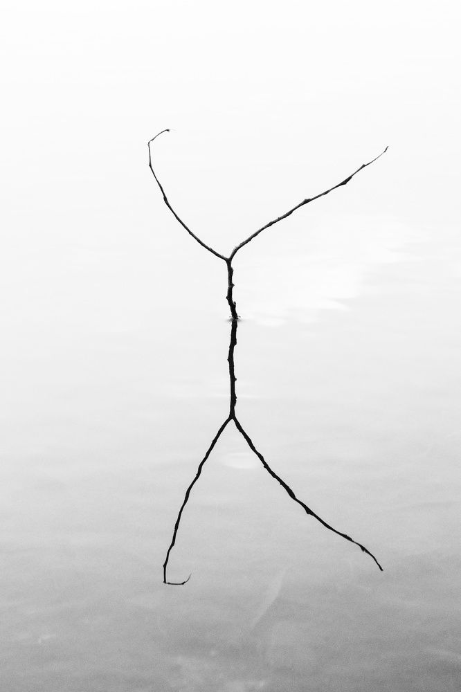 Photograph by Ирина Чиркина