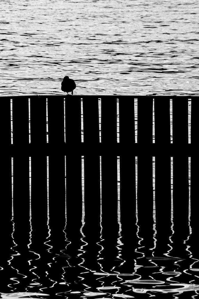 Photograph by Lyudmila Klimanova