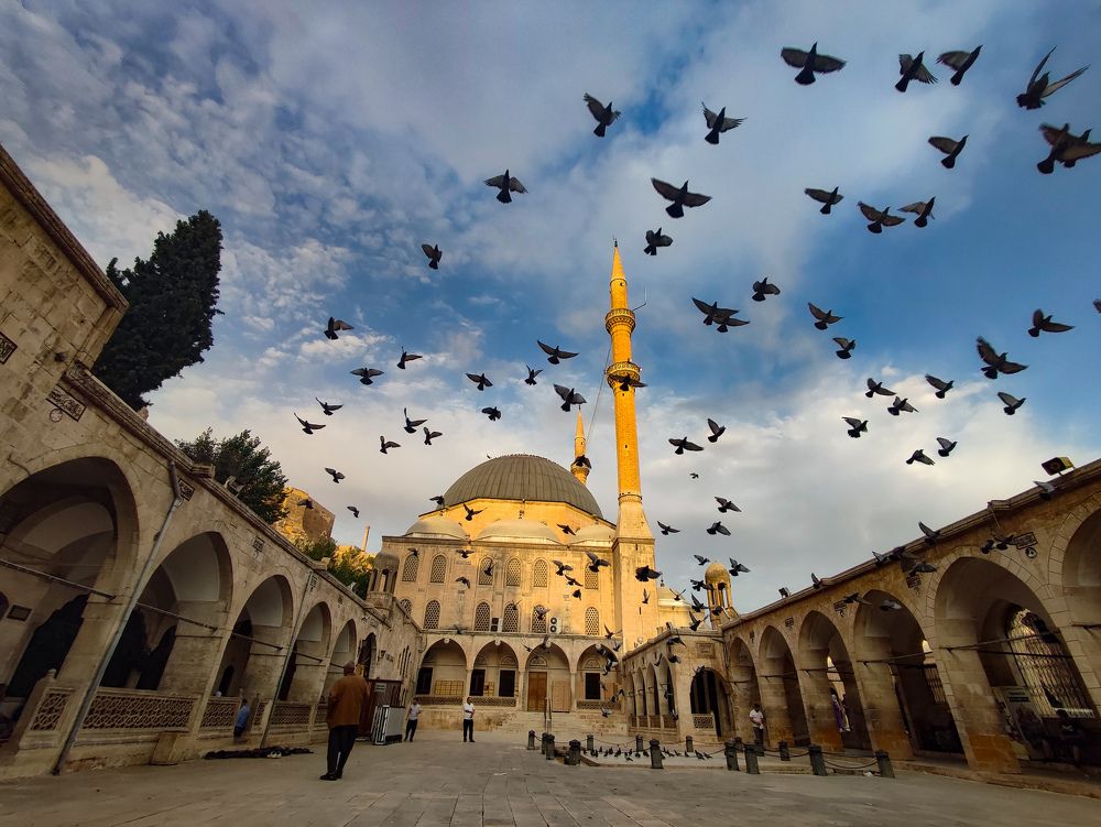 Photograph by müslüm kaplantaş