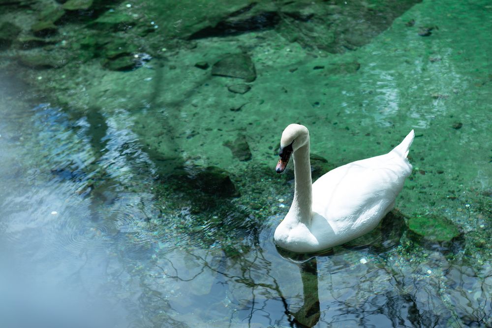 Фотография автора Наталья Дороднова