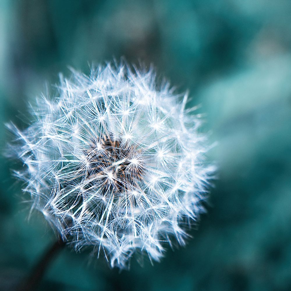 Фотография автора Наталья Дороднова