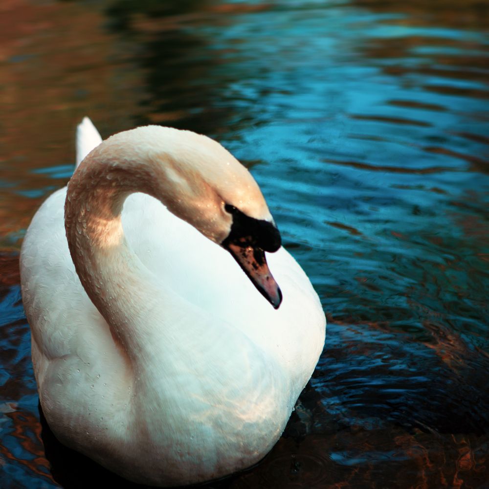 Фотография автора Наталья Дороднова