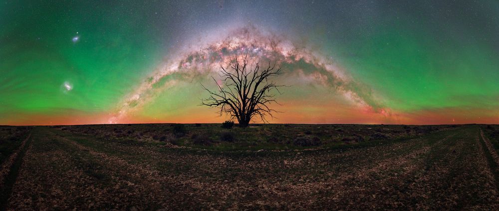 Photograph by Fascinating Imagery