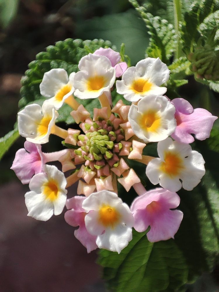 Photograph by müslüm kaplantaş