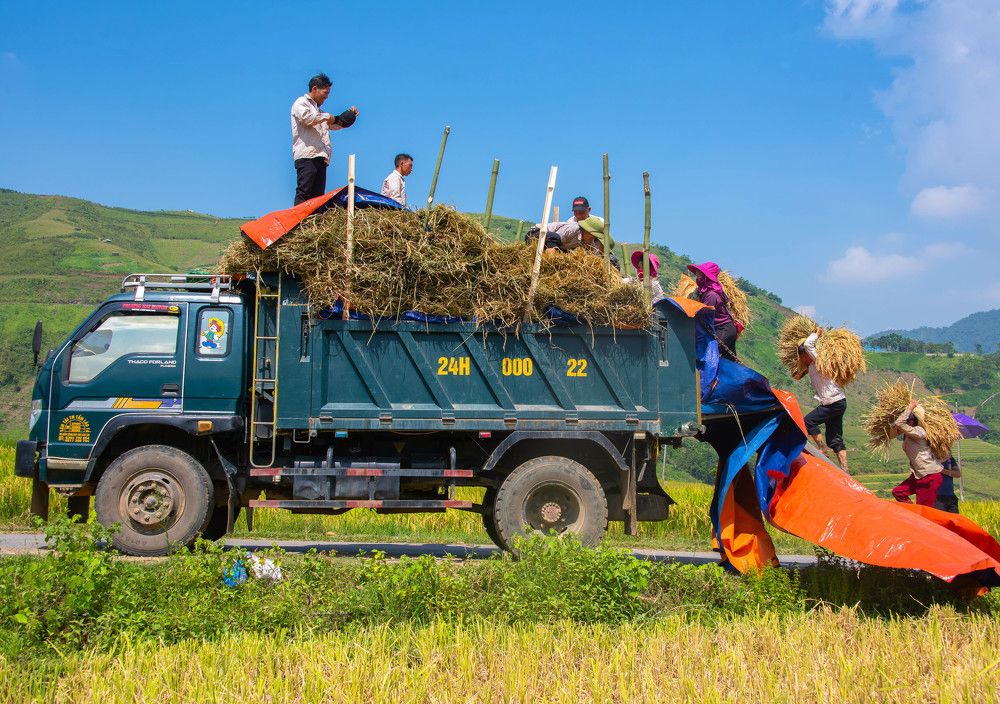 Photograph by Duc Nguyen