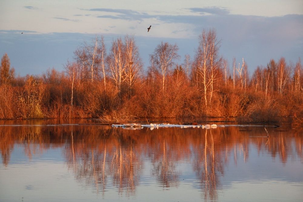 Весенний паводок