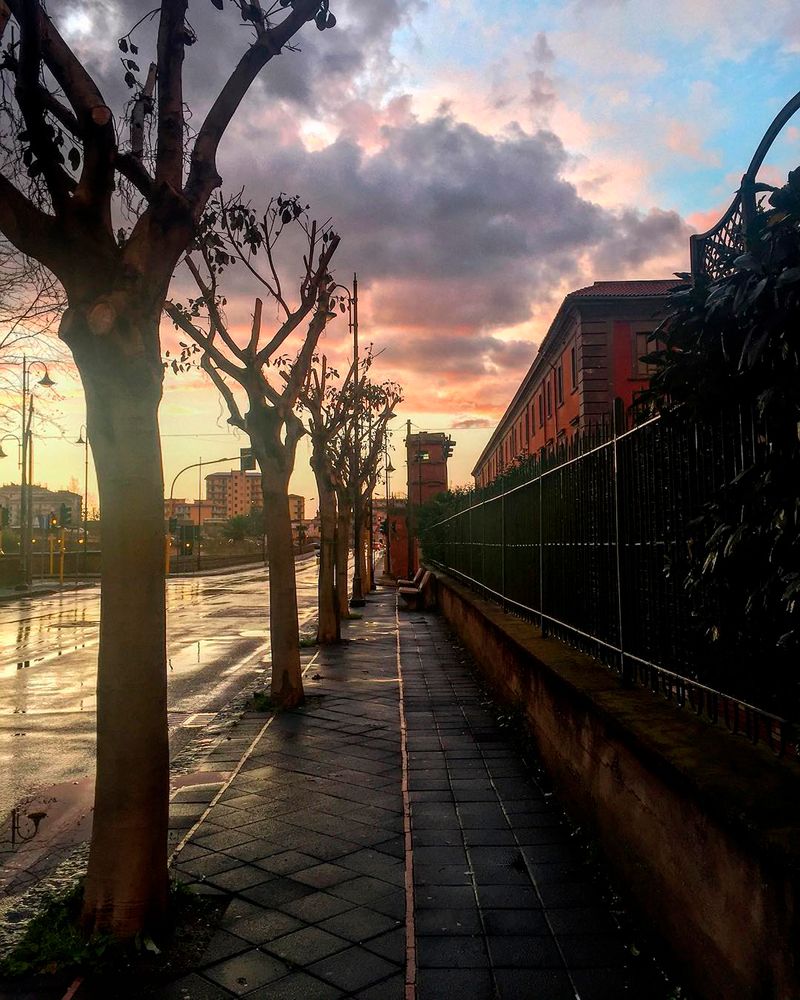 Photograph by Otto Acosta