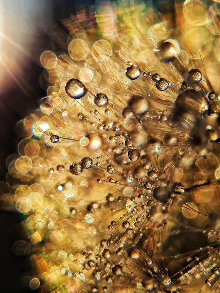 Photograph by Ольга Веселова