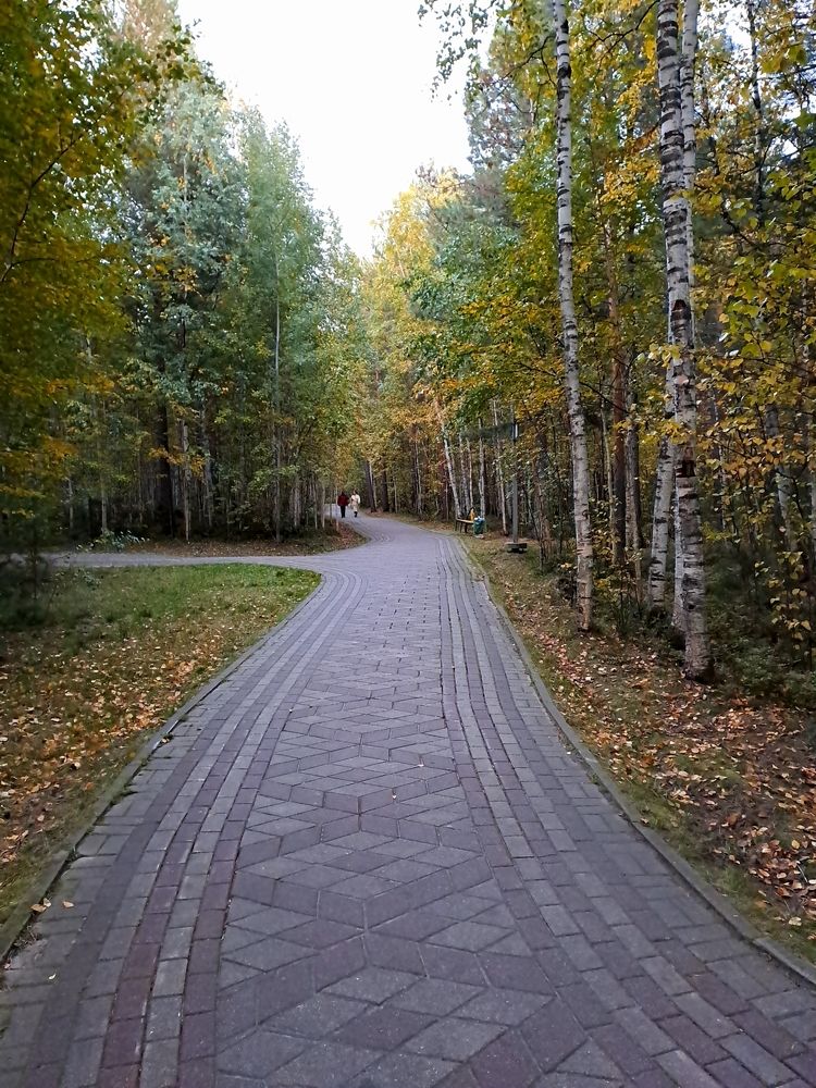 Прогулка в парке