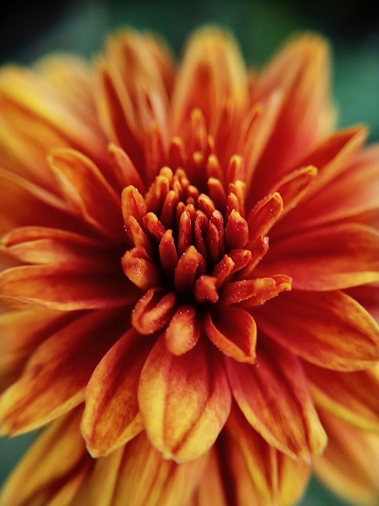 Photograph by Анна Пигулевская