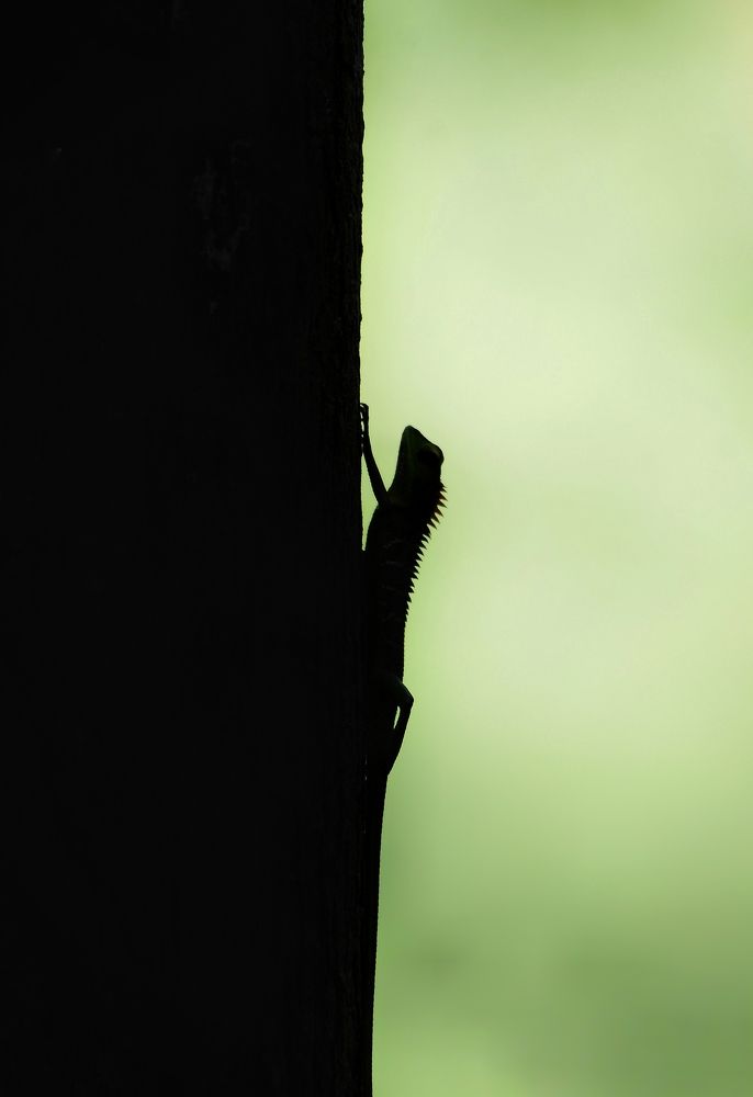 Photograph by George S George