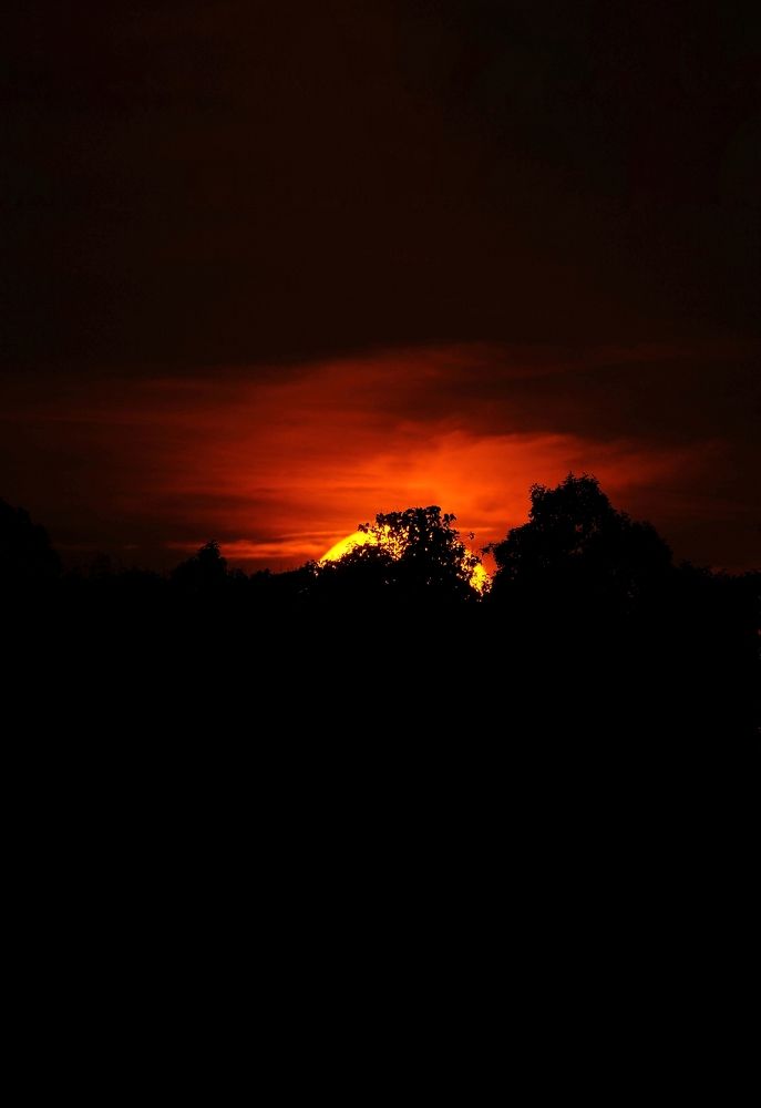 Photograph by George S George