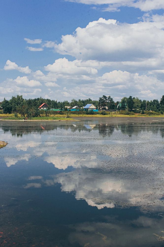 Photograph by Дарья