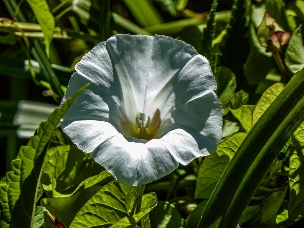 Photograph by Алексей Логинов