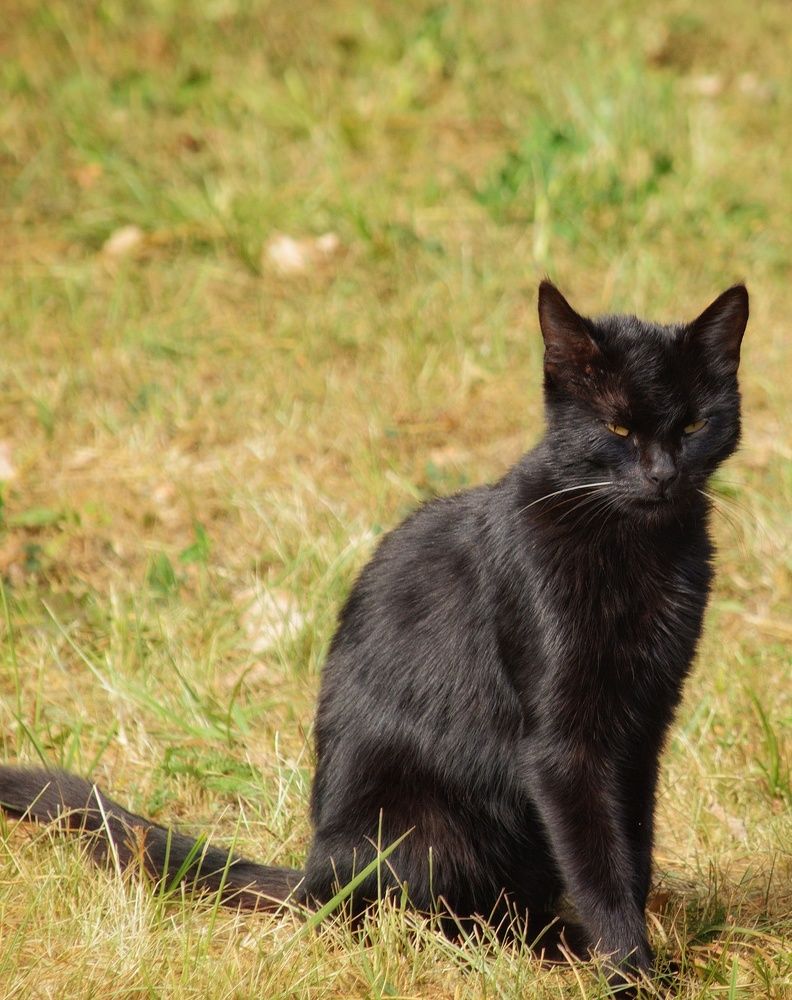 Photograph by Сергей Симаков