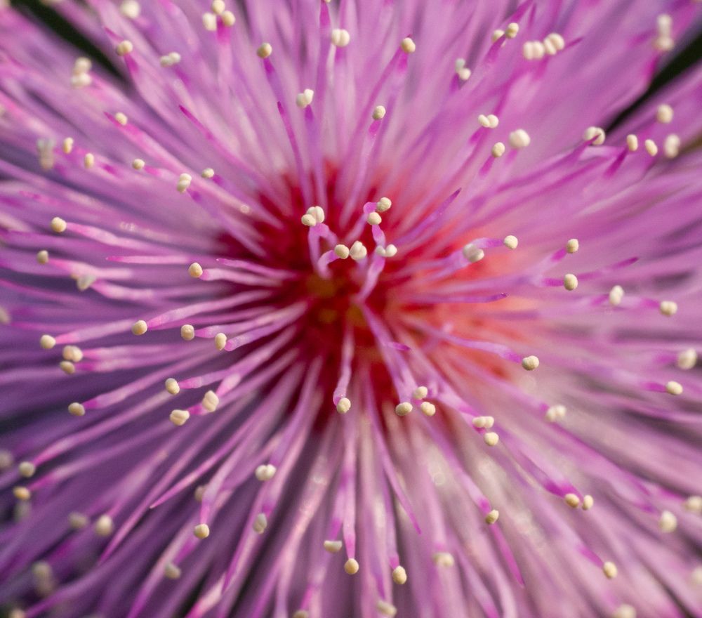 Photograph by Rachana madhav