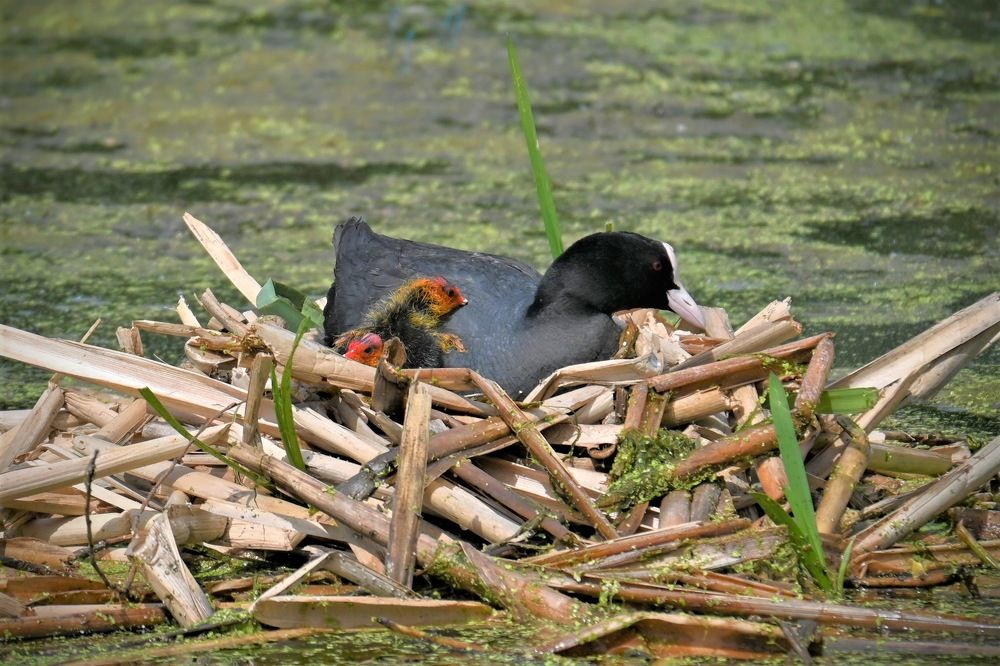Фотография автора IRINA FILIPPOVA