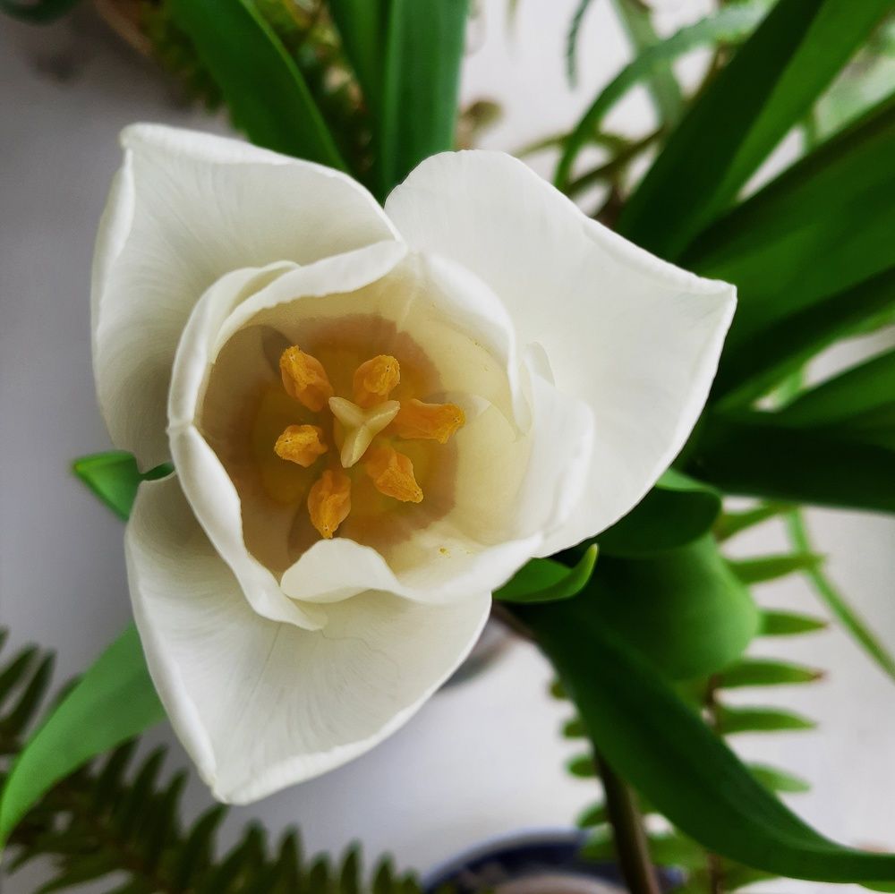 Photograph by Бакшеева Марина