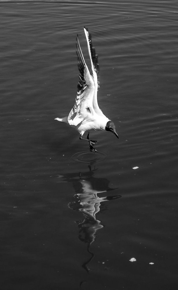 Photograph by Любовь Бусова