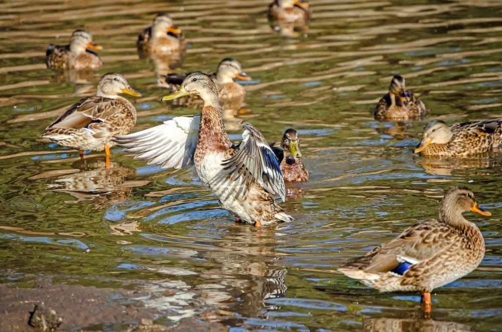 Photograph by Любовь Бусова