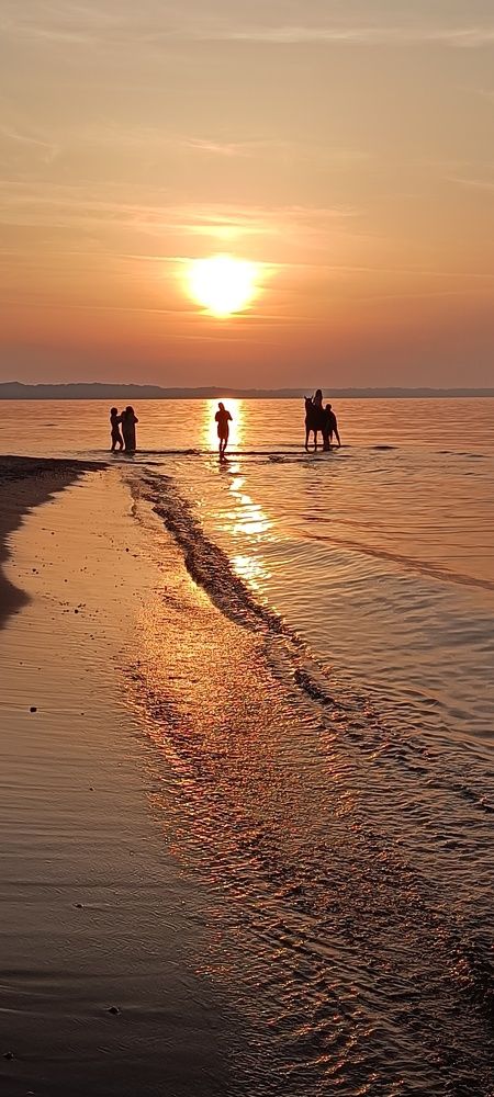 Photograph by Александр Дроздов