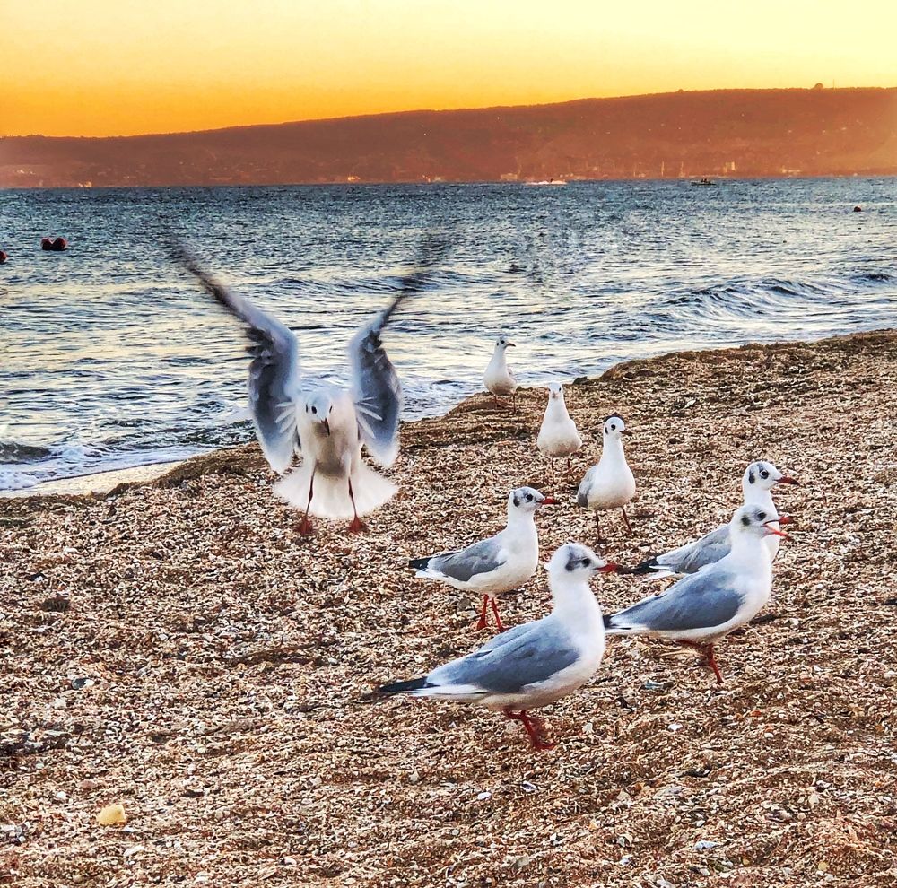 Photograph by Елена Шкред