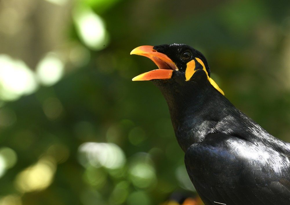 Photograph by Preet saluja