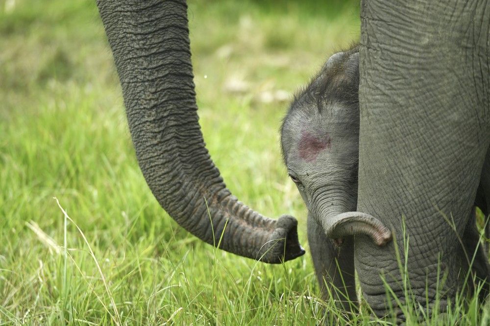 Photograph by Preet saluja