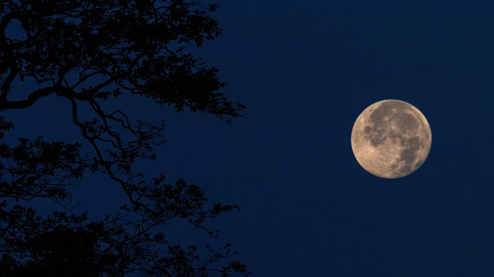 Photograph by Easa Lebbe Muhammed Jamsith