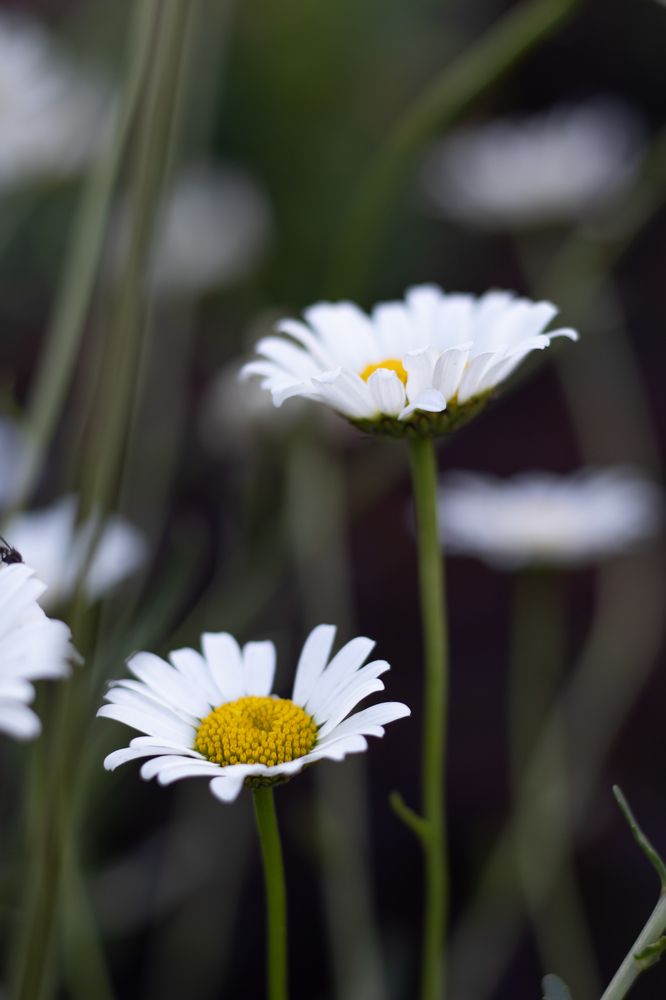 Photograph by Наталья Мотрий