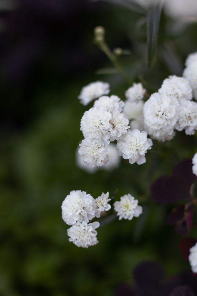 Photograph by Наталья Мотрий