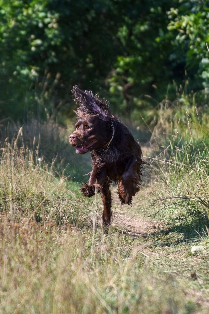 Photograph by Анастасия Смирнова