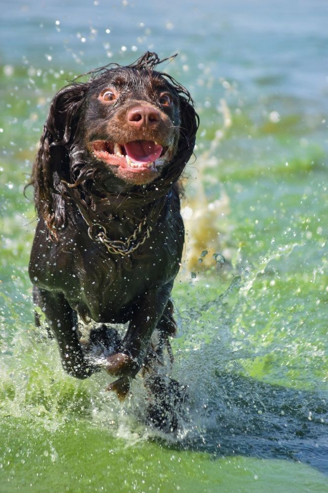 Photograph by Анастасия Смирнова