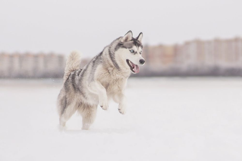 Photograph by Ангелина Ледовская