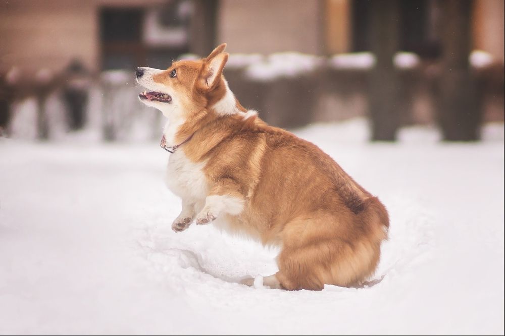 Photograph by Ангелина Ледовская