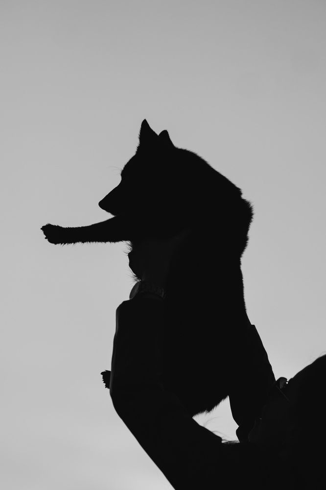 Photograph by Ангелина Ледовская