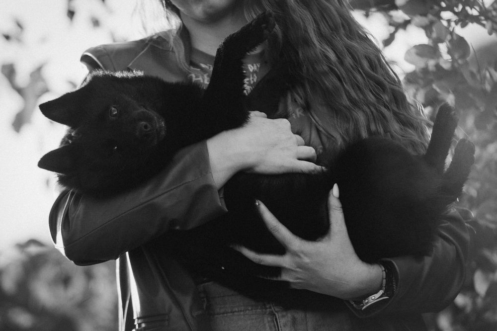 Photograph by Ангелина Ледовская